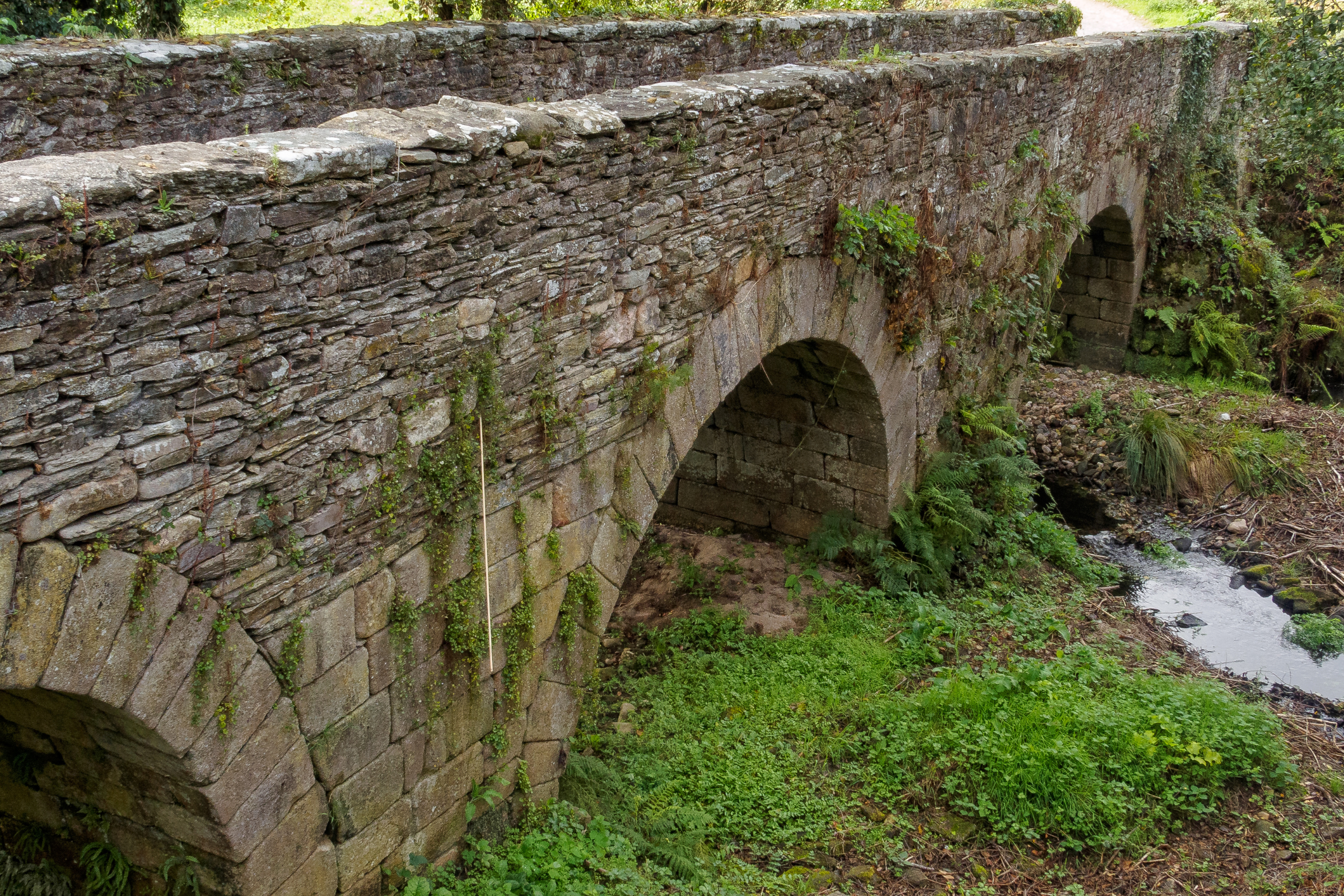 sarria (3).webp